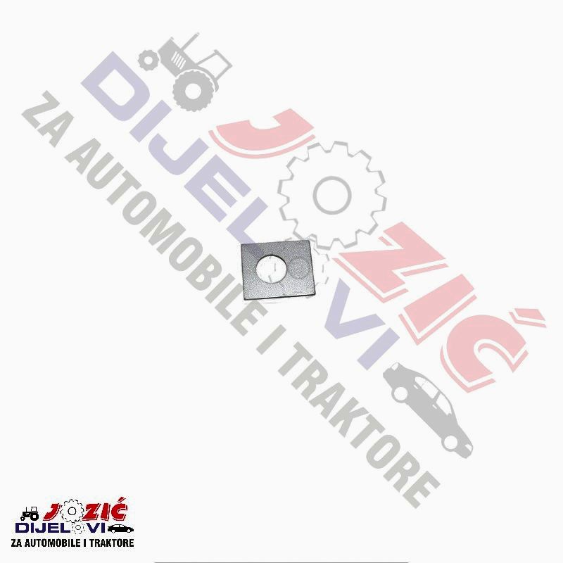 Daisy on the Ohoopee