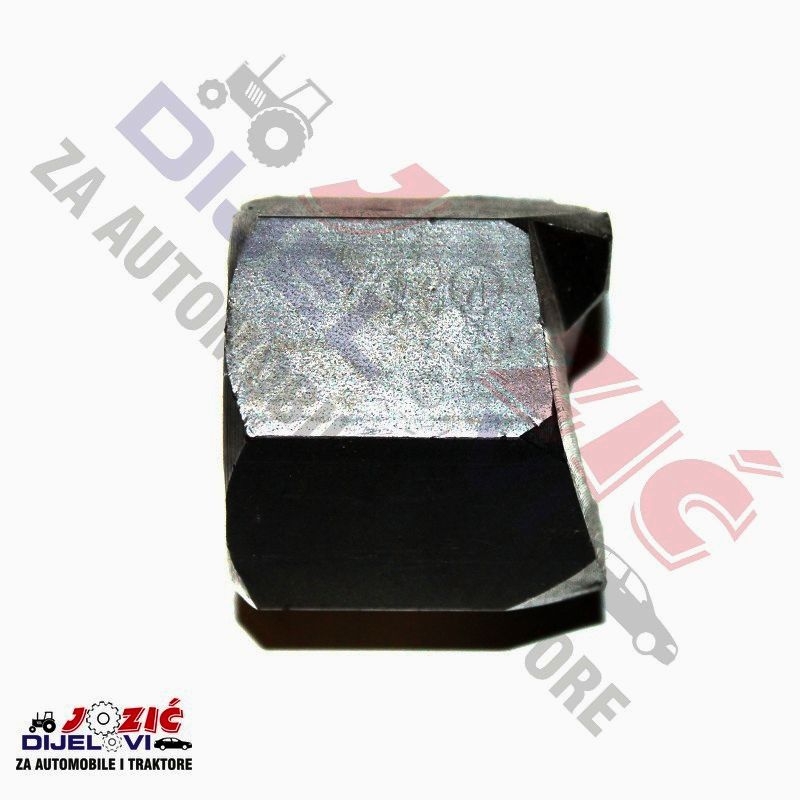 Daisy on the Ohoopee