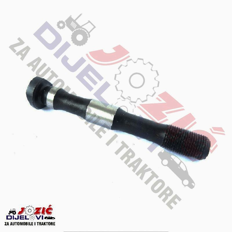 Daisy on the Ohoopee