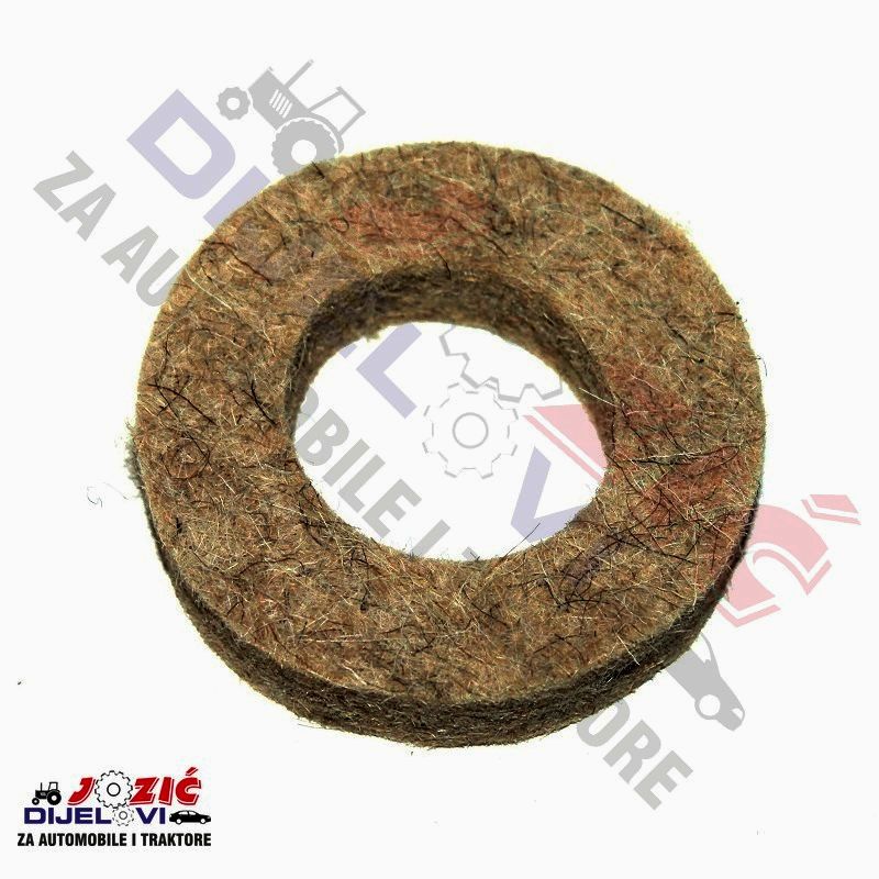 Daisy on the Ohoopee