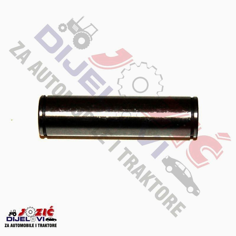 Daisy on the Ohoopee