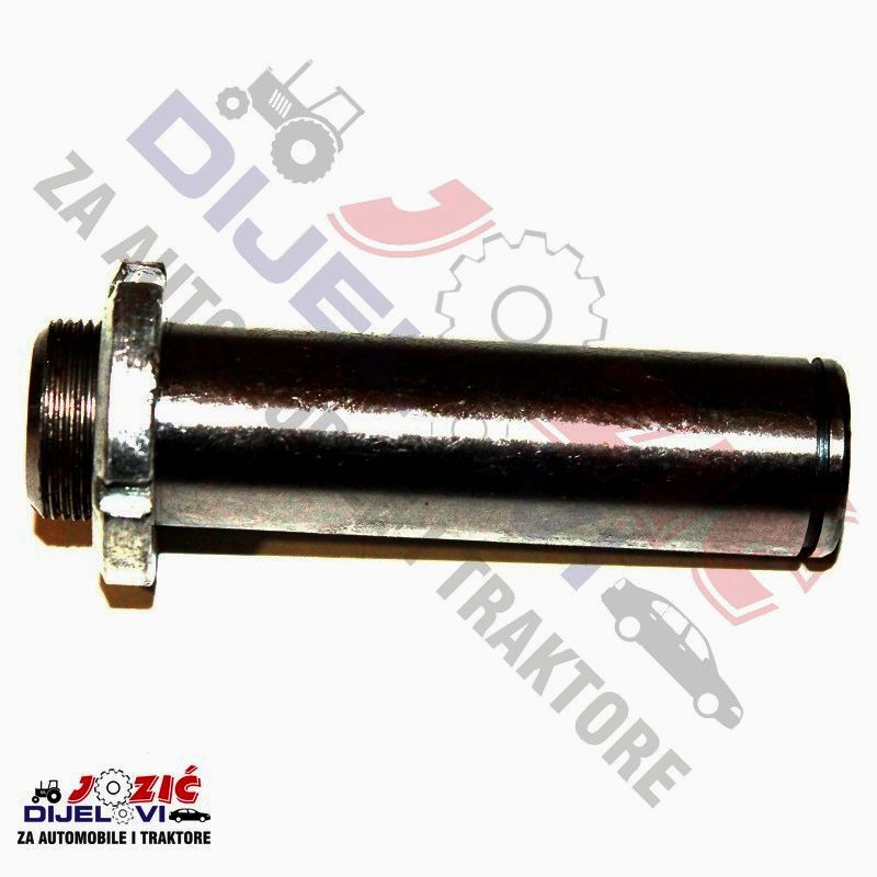 Daisy on the Ohoopee