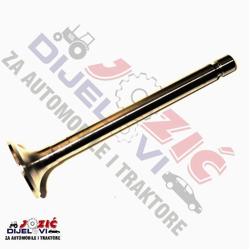 Daisy on the Ohoopee