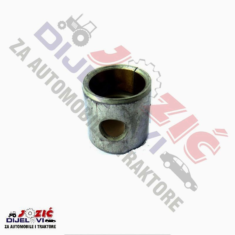 Daisy on the Ohoopee