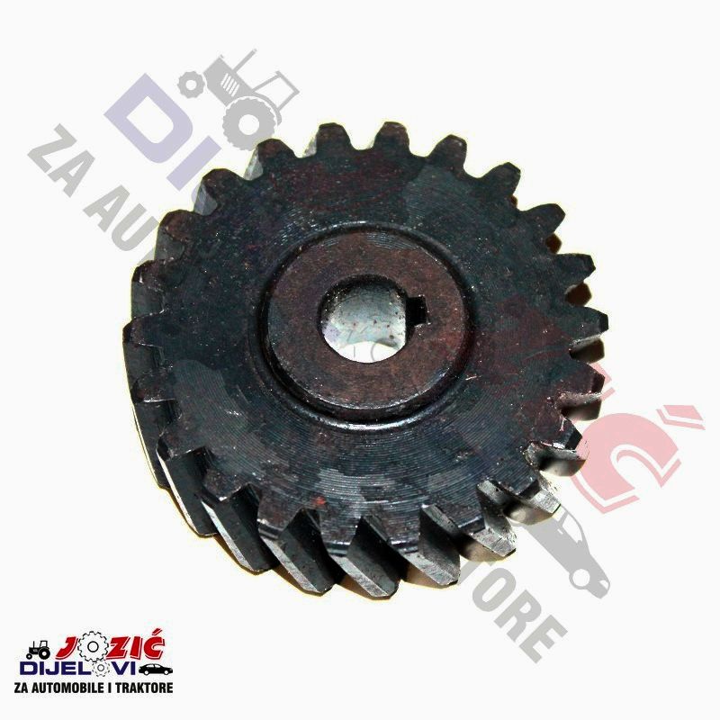 Daisy on the Ohoopee