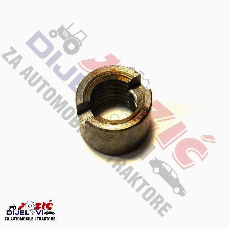 Daisy on the Ohoopee