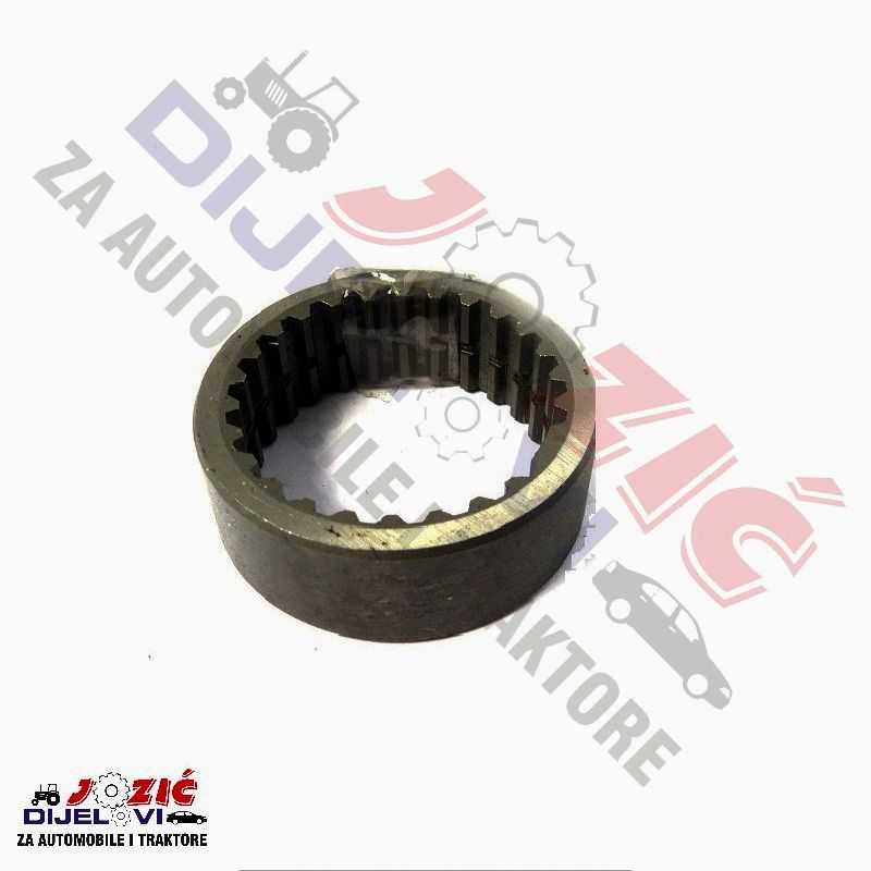 Daisy on the Ohoopee