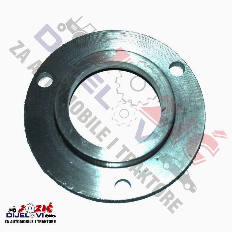 Daisy on the Ohoopee