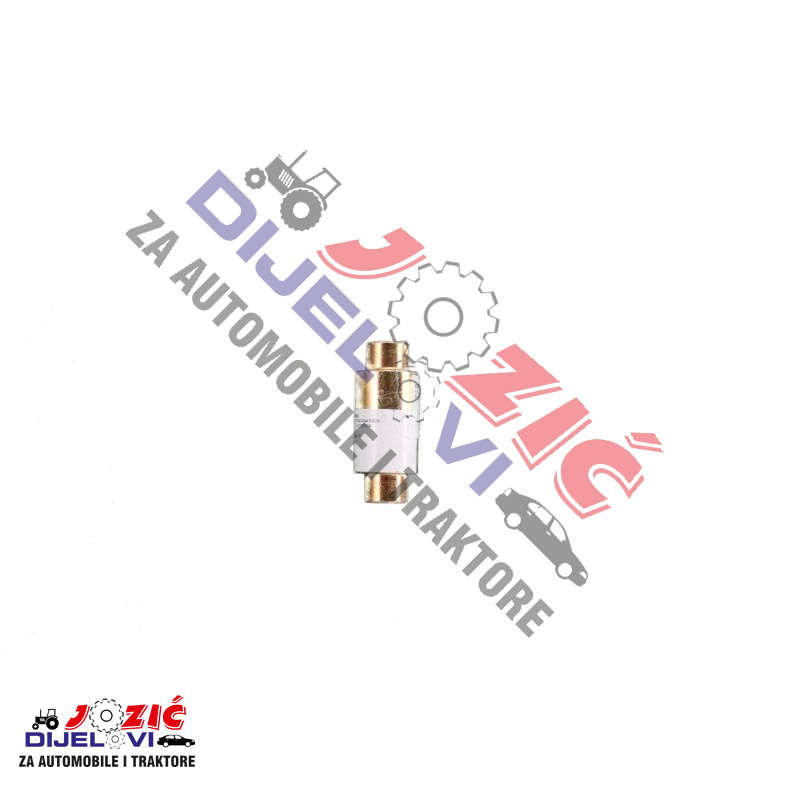 Daisy on the Ohoopee