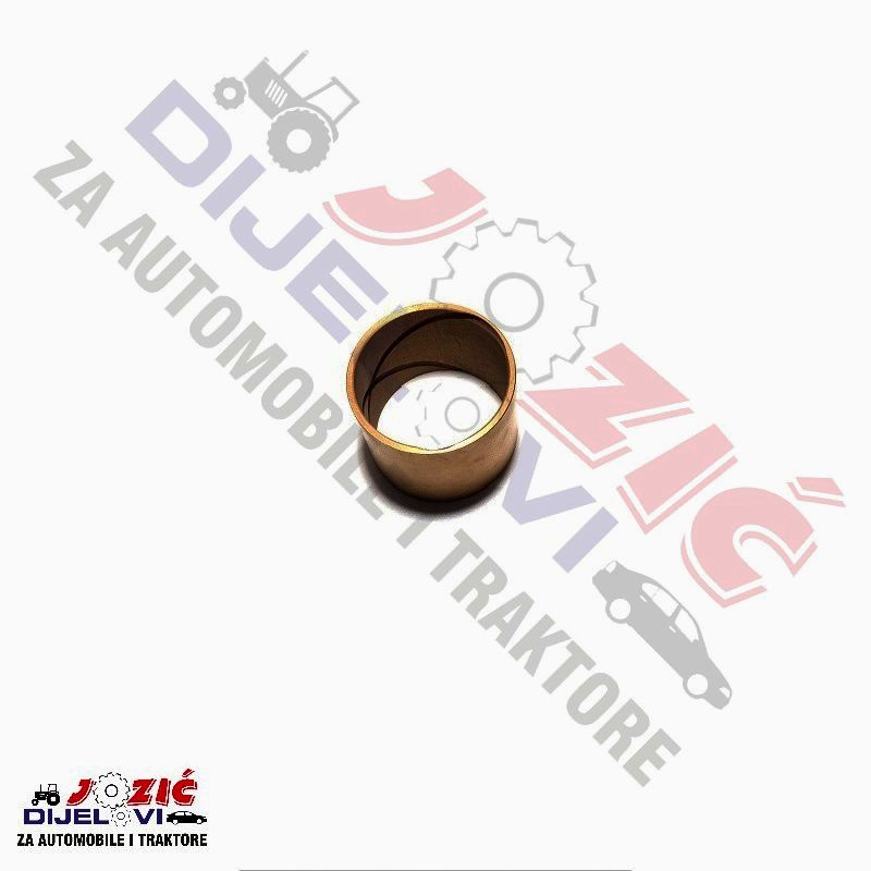 Daisy on the Ohoopee