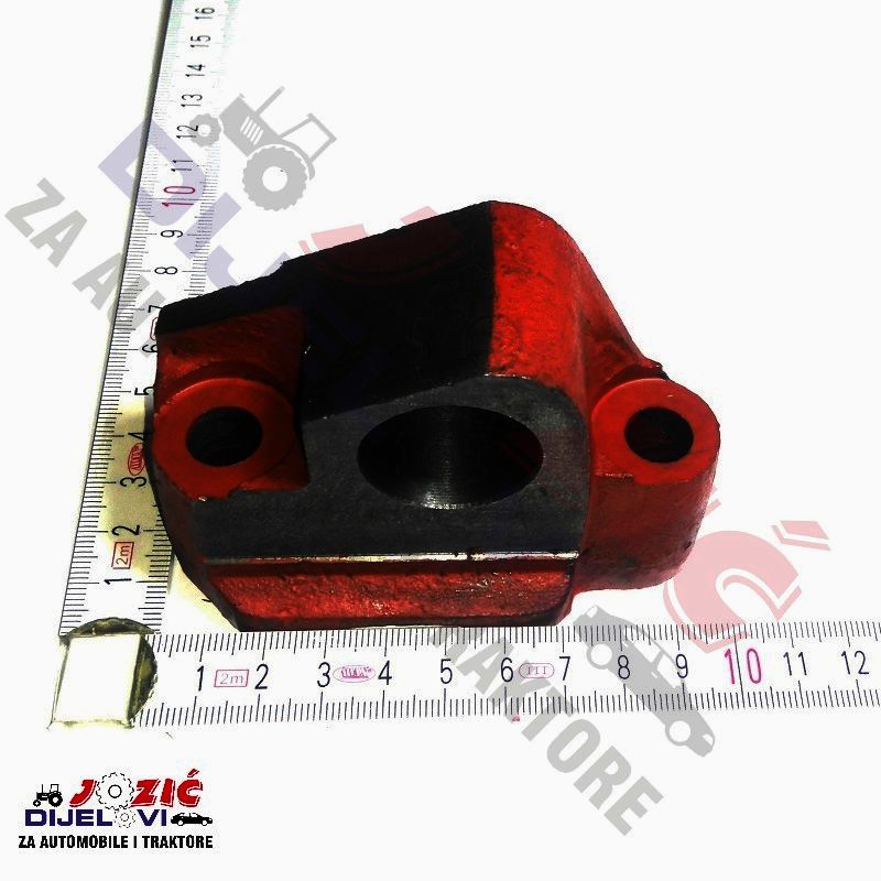 Daisy on the Ohoopee