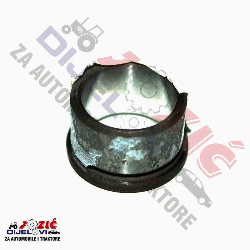 Daisy on the Ohoopee