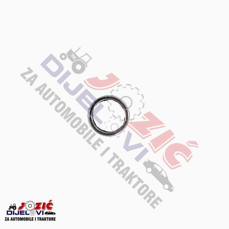 Daisy on the Ohoopee