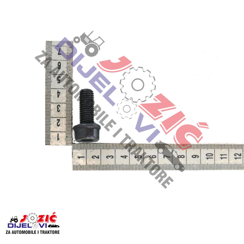 Daisy on the Ohoopee