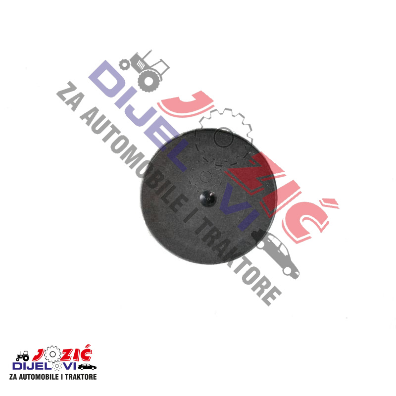 Daisy on the Ohoopee