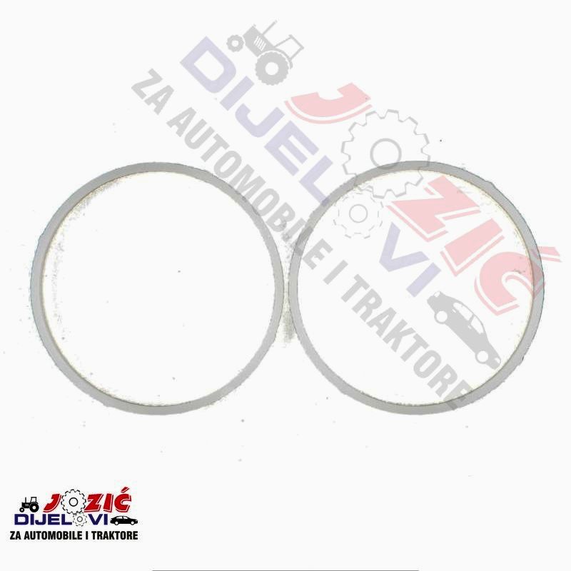 Daisy on the Ohoopee