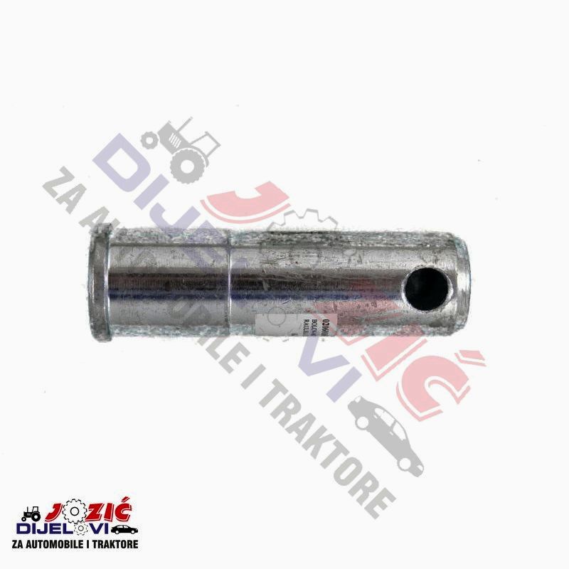 Daisy on the Ohoopee