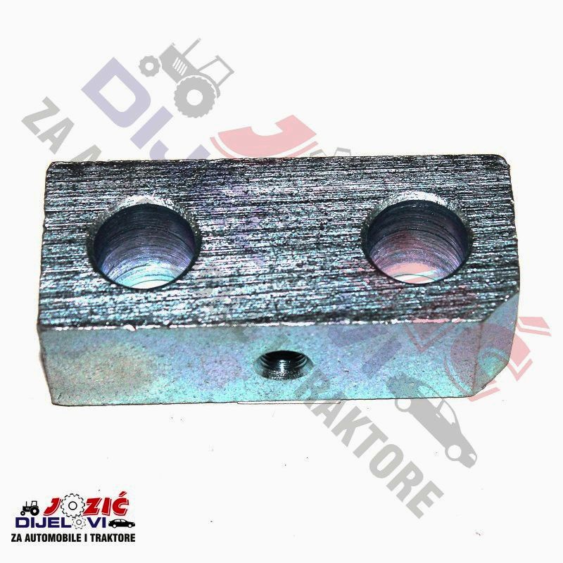 Daisy on the Ohoopee