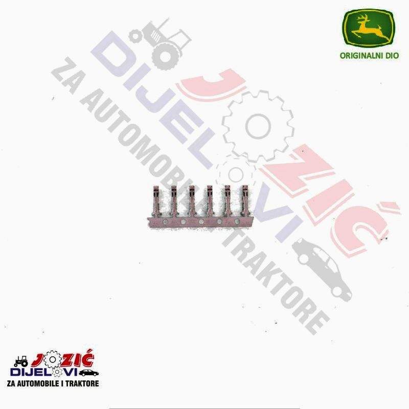 Daisy on the Ohoopee