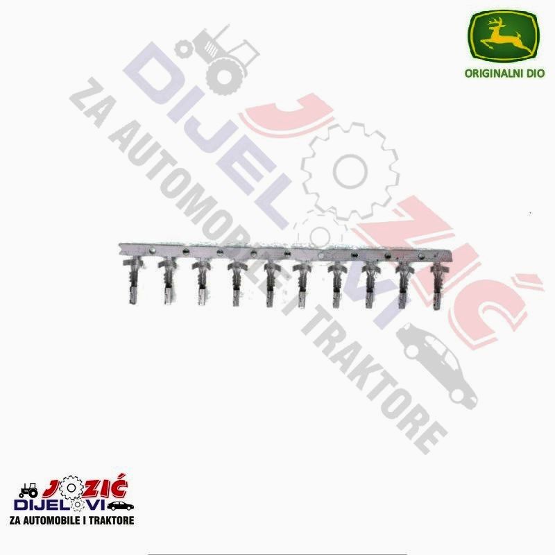 Daisy on the Ohoopee