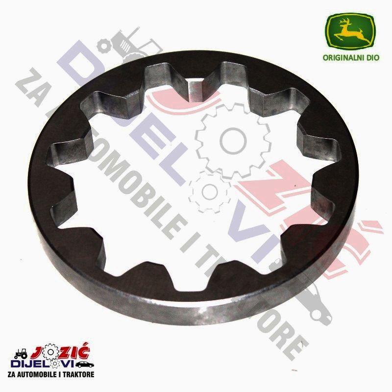 Daisy on the Ohoopee