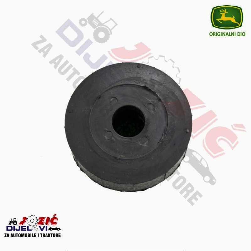 Daisy on the Ohoopee