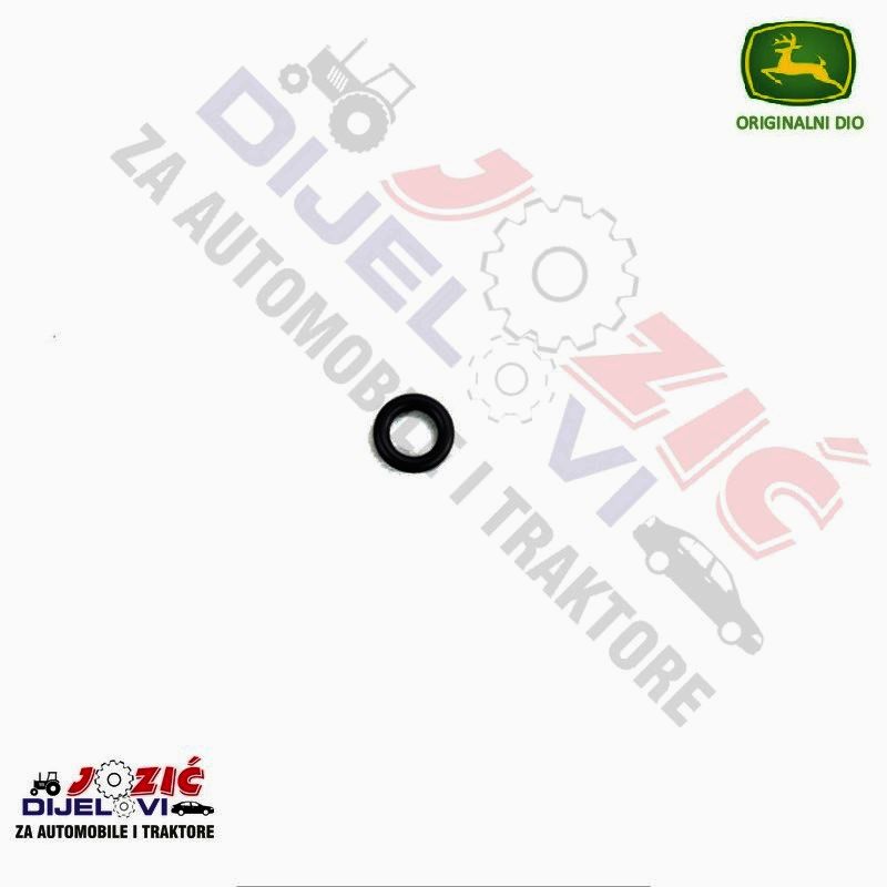 Daisy on the Ohoopee