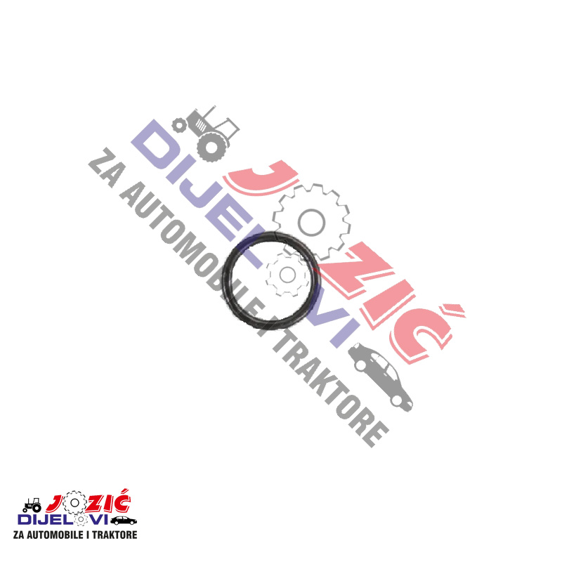 Daisy on the Ohoopee