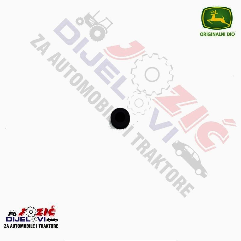 Daisy on the Ohoopee