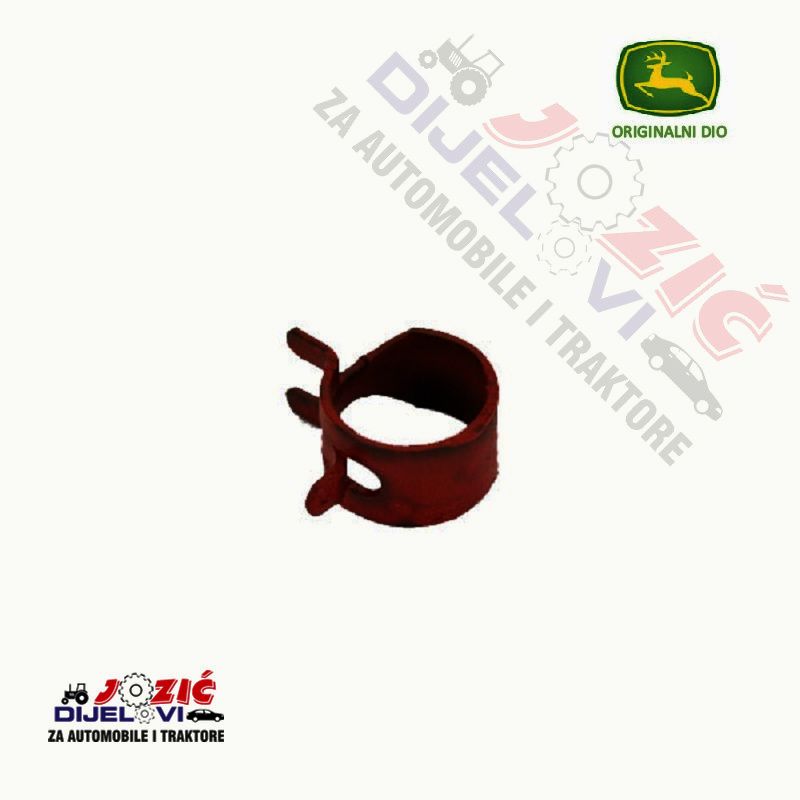 Daisy on the Ohoopee