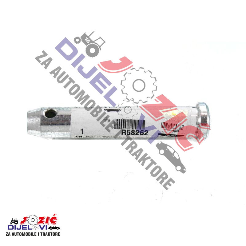 Daisy on the Ohoopee