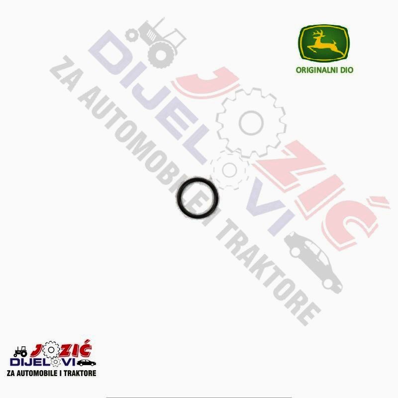 Daisy on the Ohoopee