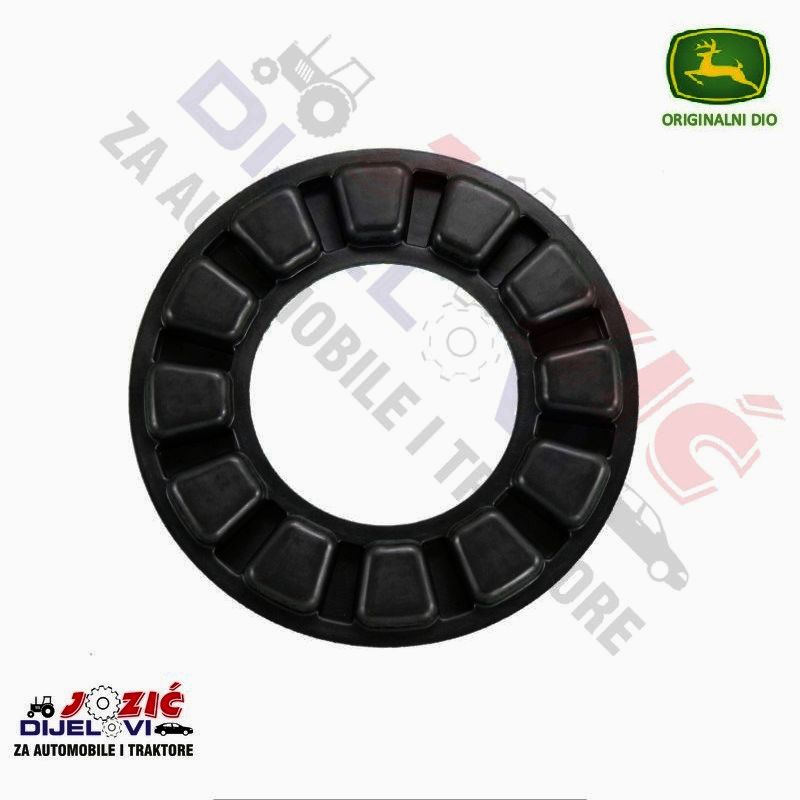 Daisy on the Ohoopee