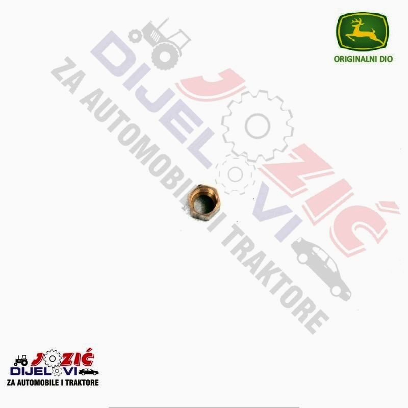 Daisy on the Ohoopee