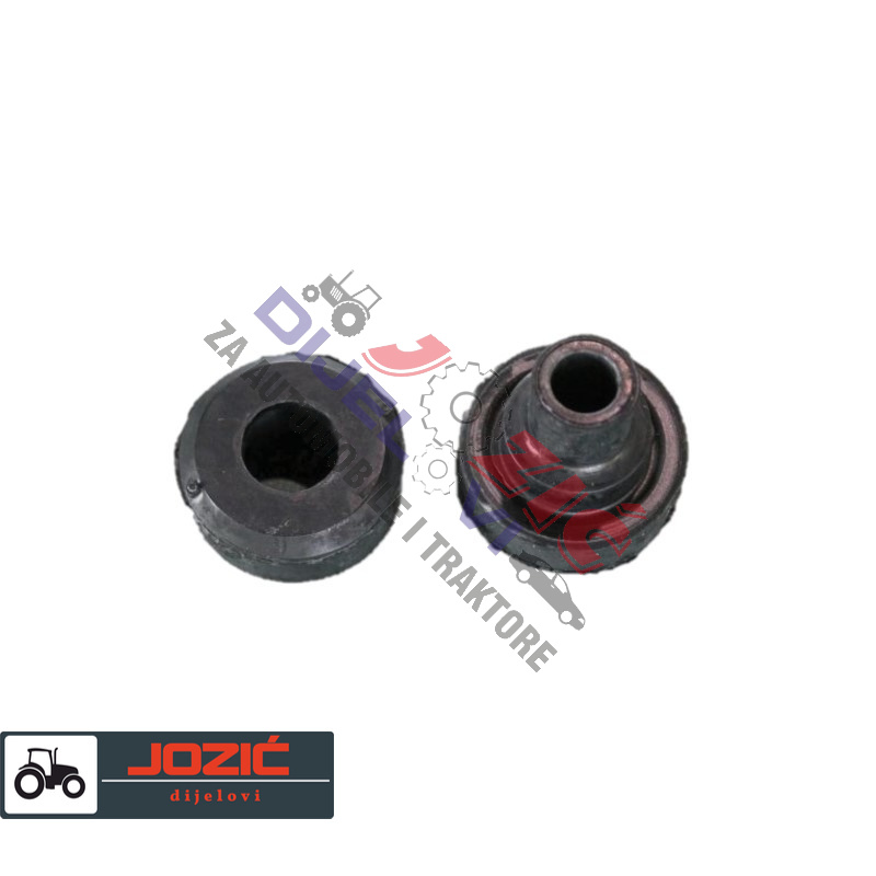 Daisy on the Ohoopee