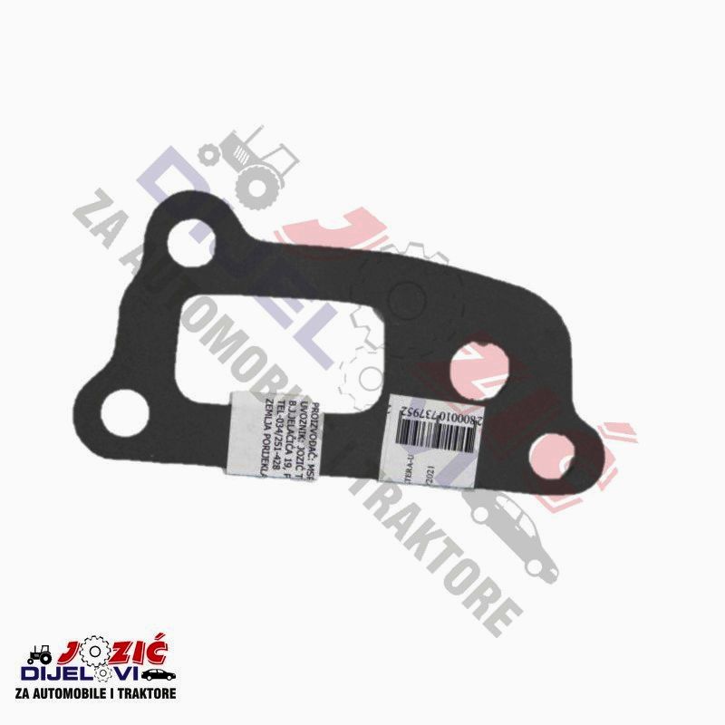 Daisy on the Ohoopee