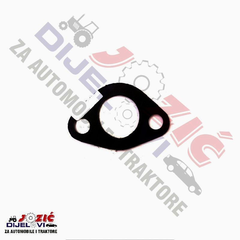 Daisy on the Ohoopee