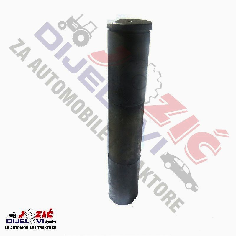 Daisy on the Ohoopee