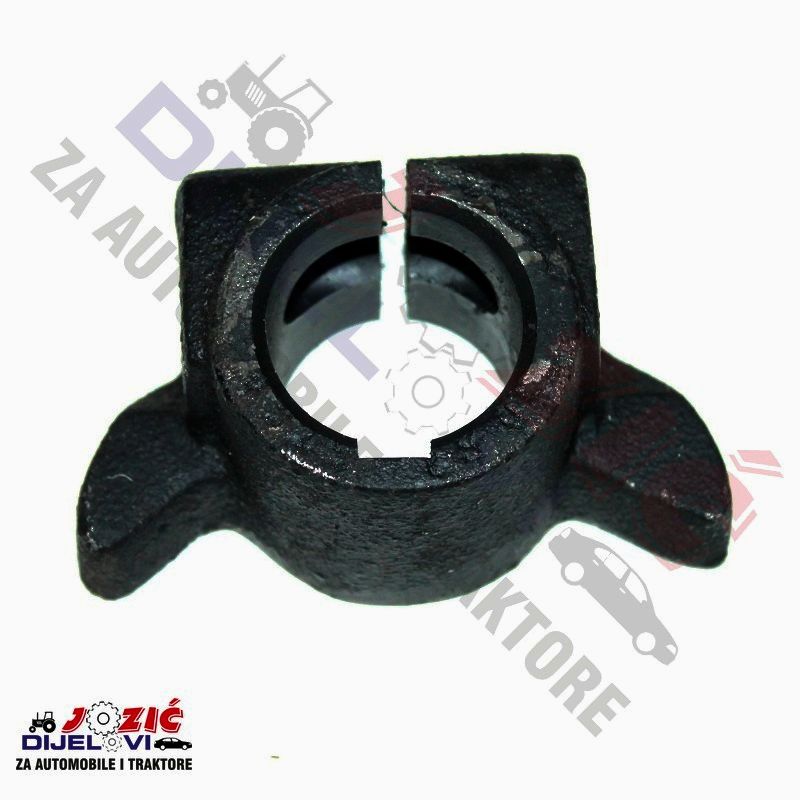 Daisy on the Ohoopee