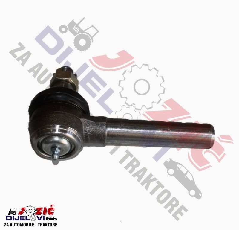 Daisy on the Ohoopee