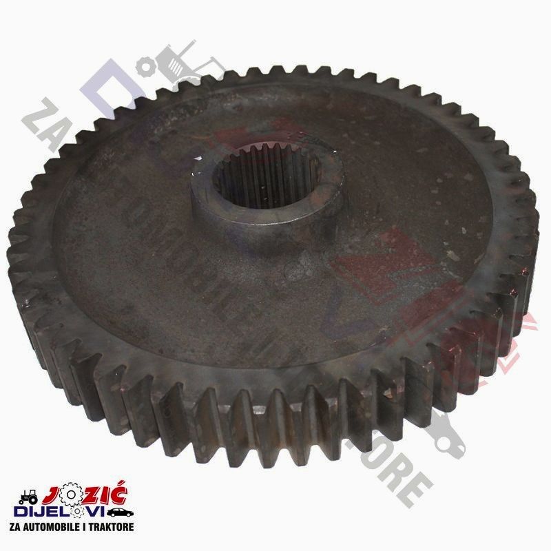 Daisy on the Ohoopee