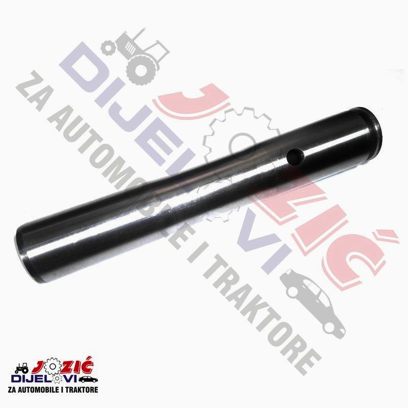 Daisy on the Ohoopee