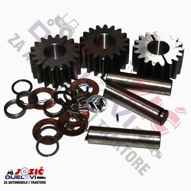 Daisy on the Ohoopee