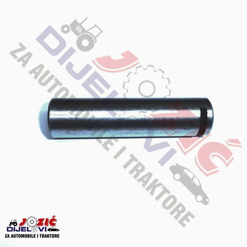 Daisy on the Ohoopee