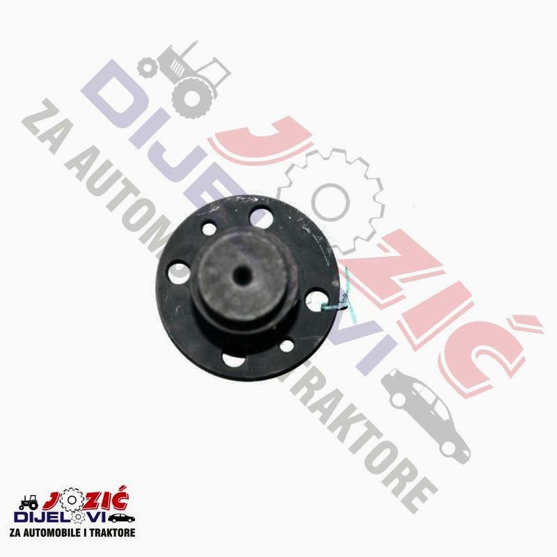 Daisy on the Ohoopee