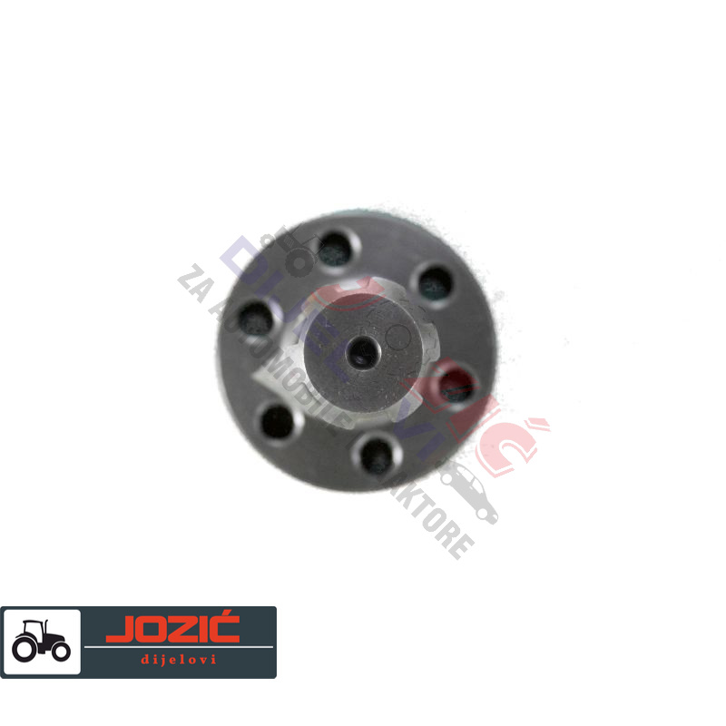 Daisy on the Ohoopee