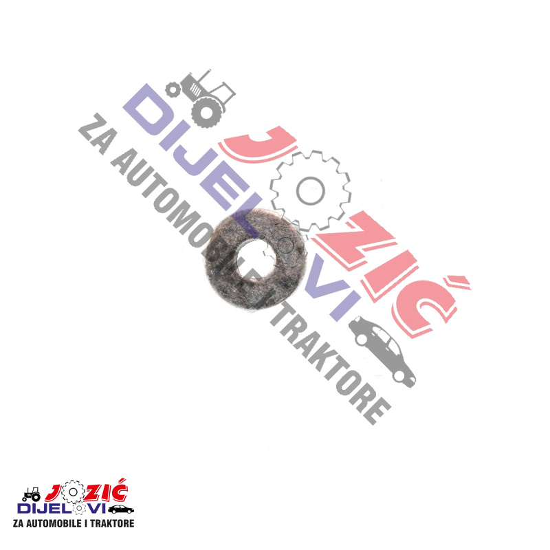 Daisy on the Ohoopee