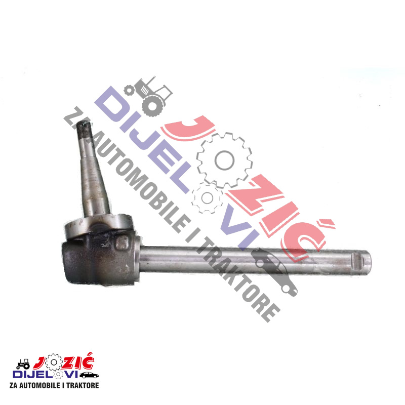 Daisy on the Ohoopee