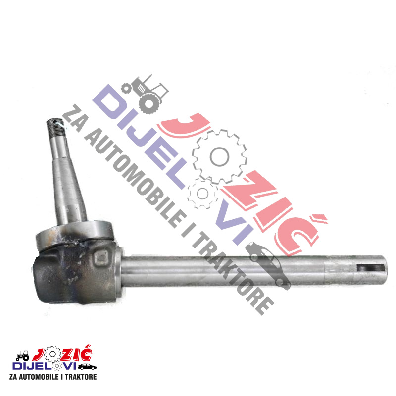 Daisy on the Ohoopee