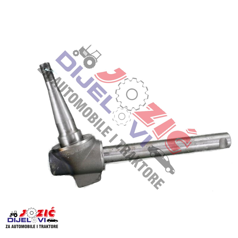 Daisy on the Ohoopee